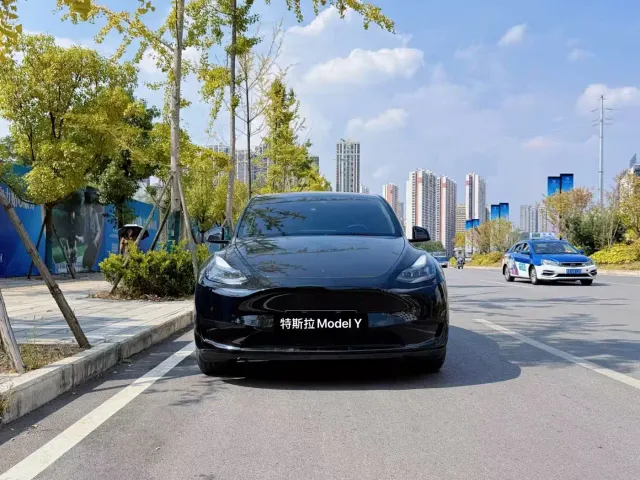 Tesla Model Y — Фото автомобиля 2