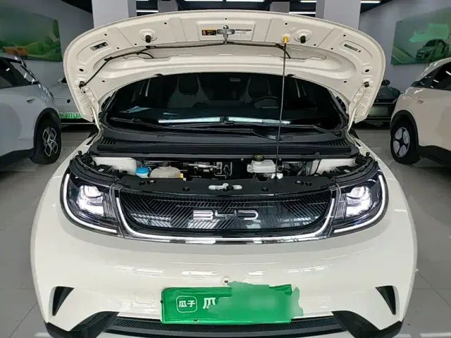 BYD Dolphin — Фото автомобиля 19