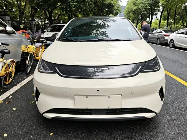 BYD Dolphin — Фото автомобиля 2