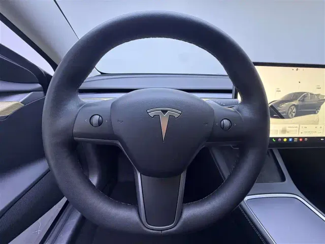 Tesla Model 3 — Фото автомобиля 18