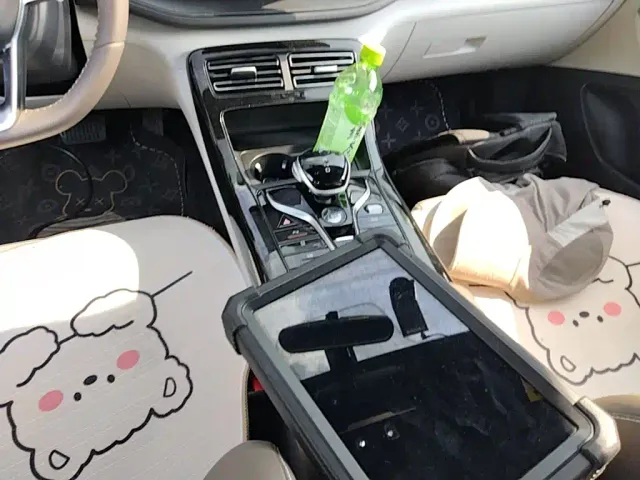 BYD Qin PLUS — Фото автомобиля 13
