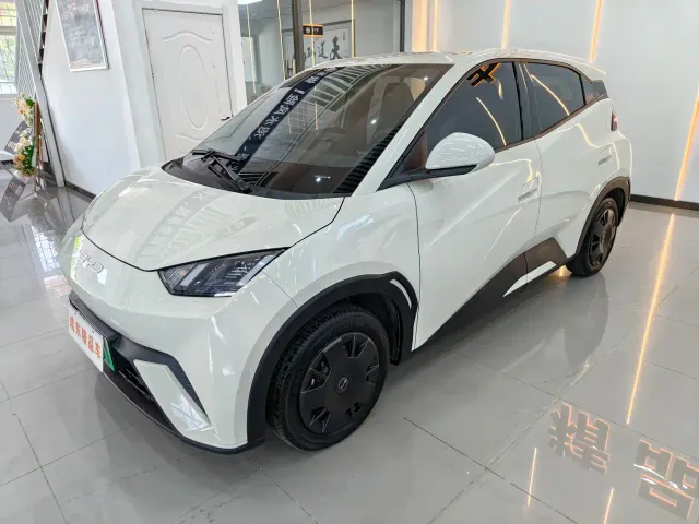 Фотография автомобиля — BYD Seagull