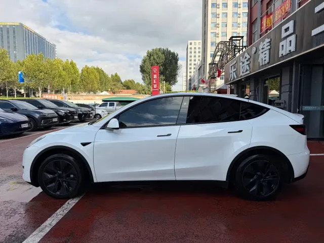 Tesla Model Y — Фото автомобиля 3