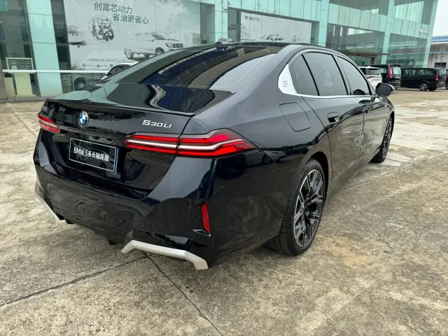 BMW 5 Series — Фото автомобиля 2