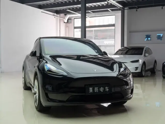Tesla Model Y — Фото автомобиля 11