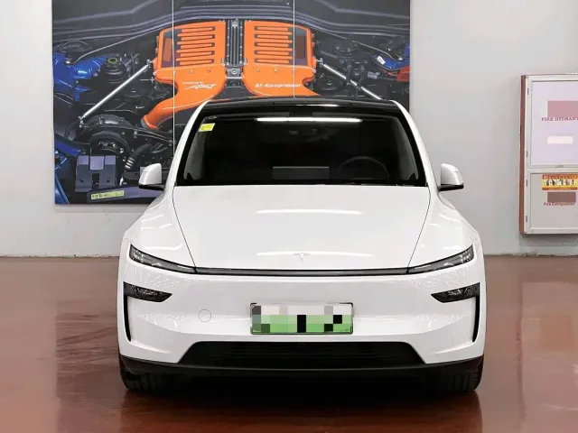 Tesla Model Y — Фото автомобиля 2