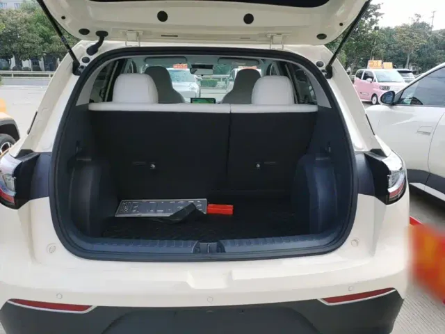 Geely Starry Wish — Фото автомобиля 18