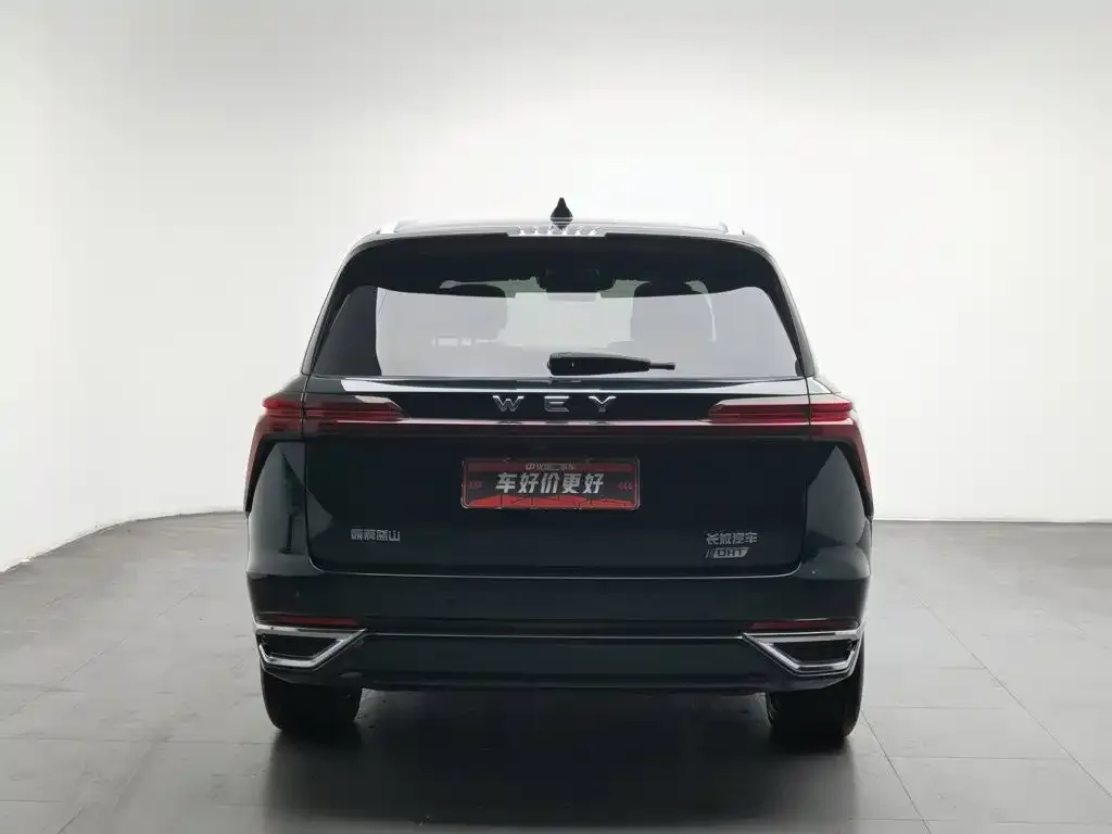 WEY Wey Lanshan 2023 AWD Ultra Long Range Edition — Фото автомобиля 4