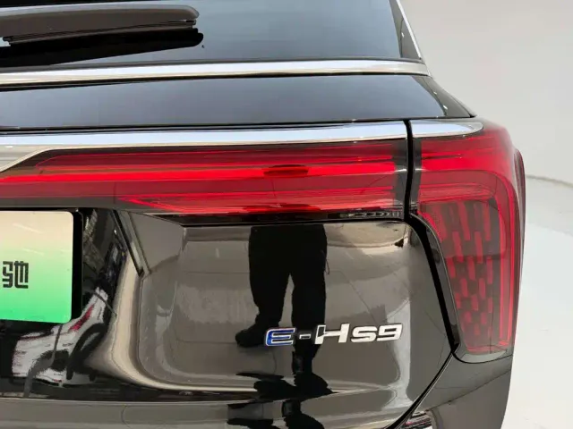 Hongqi Hongqi E-HS9 2021 460km Flagship Comfort 6-seater — Фото автомобиля 10