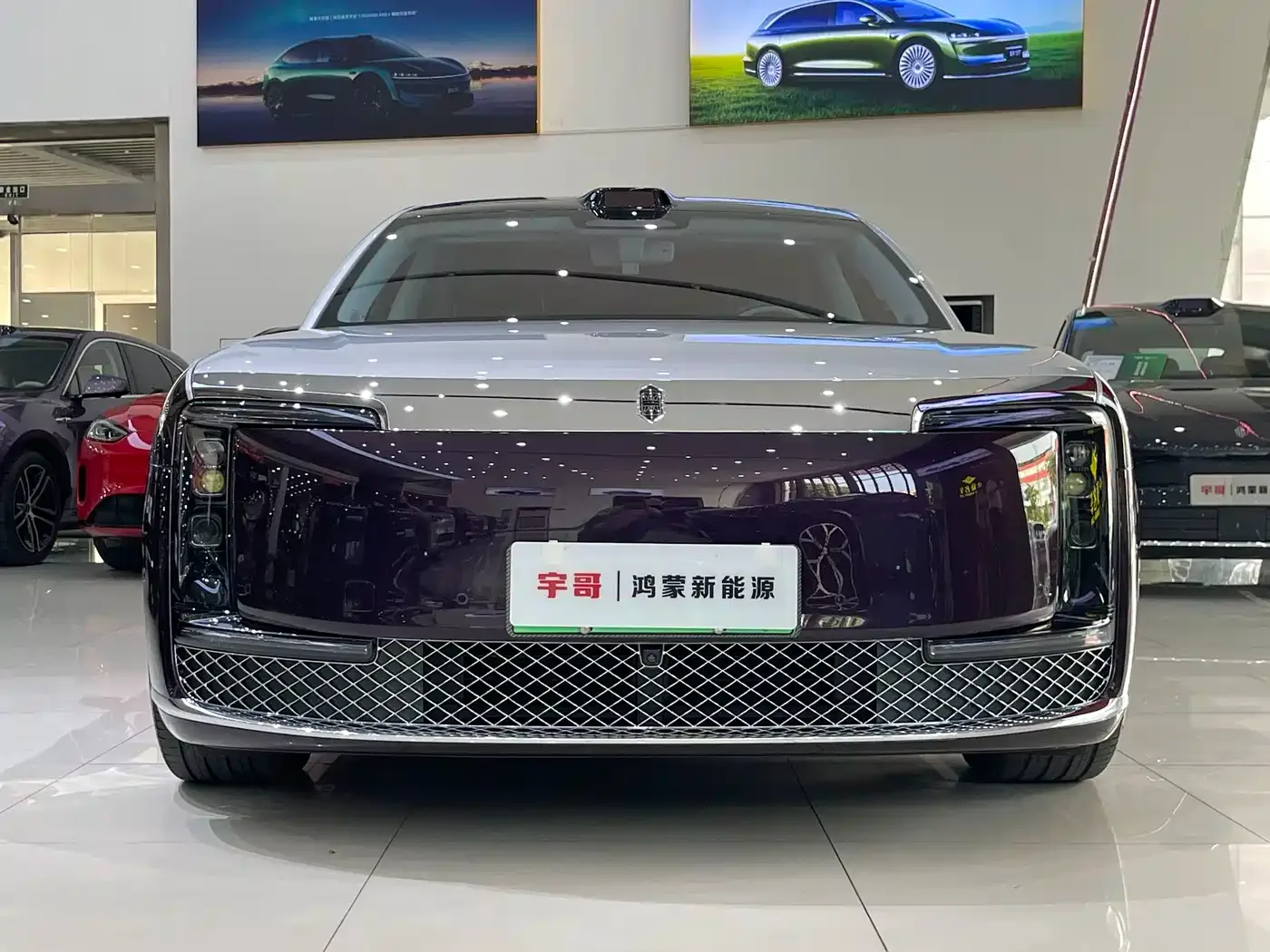 Zunjie Zunjie S800 2025 Model Pure Electric Starlight Premium Edition 5-Seater — Фото автомобиля 2