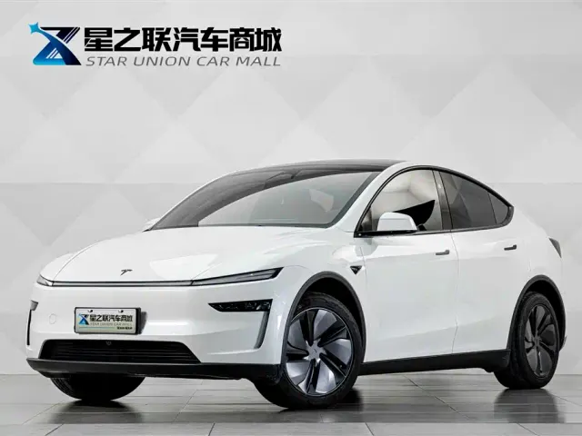 Tesla Model Y — Фото автомобиля 2