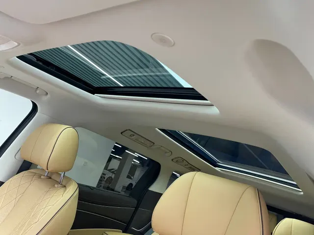 Denza Denza D9 2024 DM-i 1050 Premium — Фото автомобиля 14