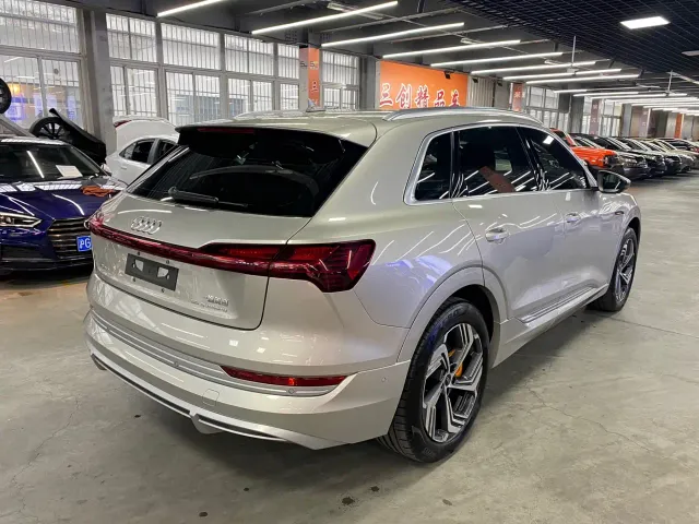 Audi Audi e-tron 2021 50 quattro Exclusive Selection — Фото автомобиля 5
