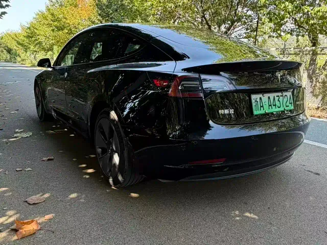 Tesla Model 3 — Фото автомобиля 12