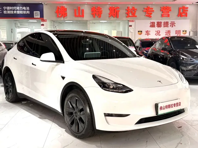Tesla Model Y — Фото автомобиля 2