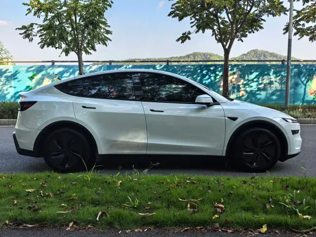 Tesla Model Y — Фото автомобиля 4