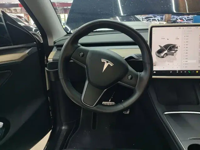 Tesla Model Y — Фото автомобиля 10