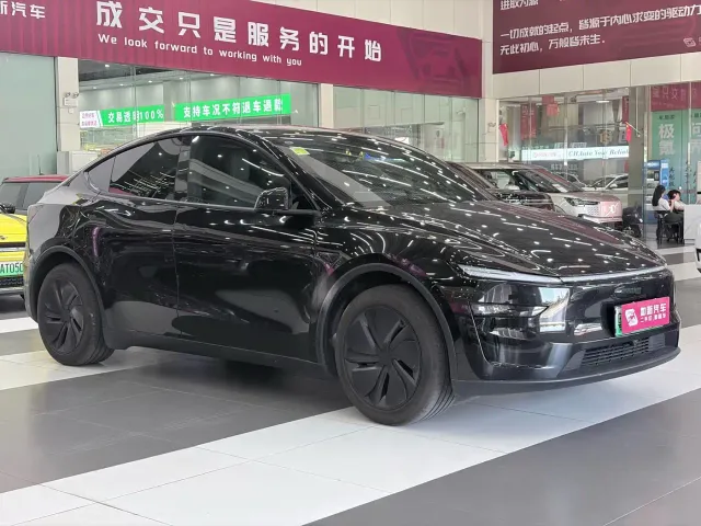 Tesla Model Y — Фото автомобиля 5
