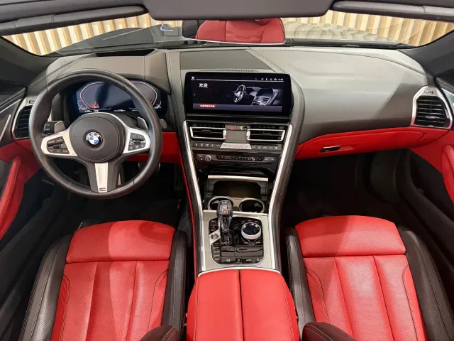 BMW 8 Series — Фото автомобиля 13