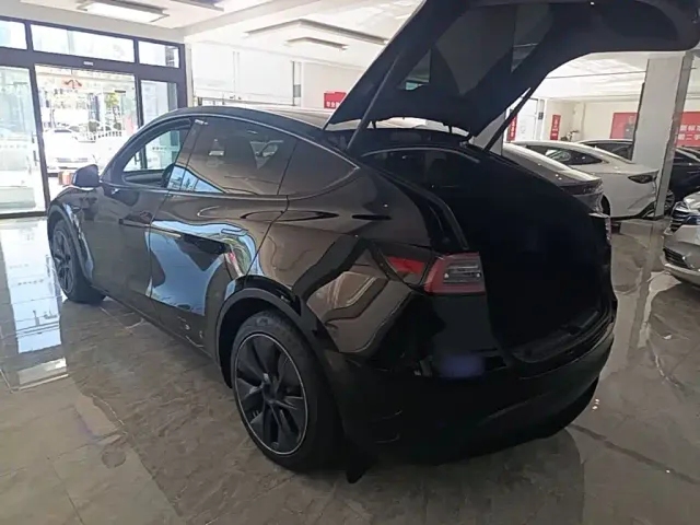 Tesla Model Y — Фото автомобиля 4