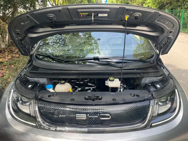 BYD Dolphin — Фото автомобиля 30