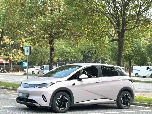 Фотография автомобиля — BYD Dolphin