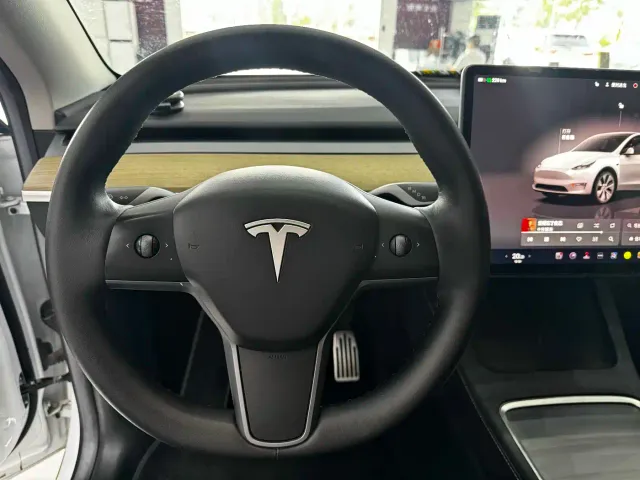 Tesla Model Y — Фото автомобиля 13