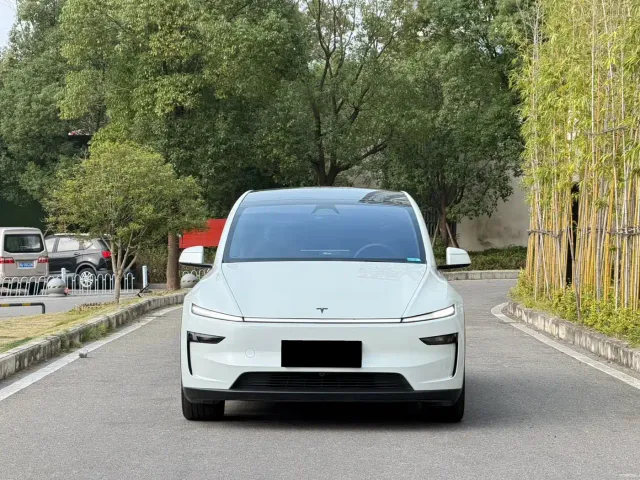 Tesla Model Y L — Фото автомобиля 2