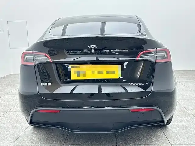 Tesla Model Y — Фото автомобиля 5