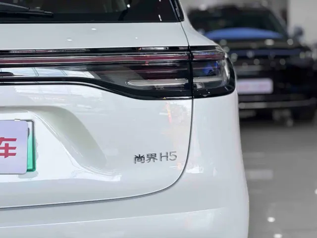 Shangjie SUV — Фото автомобиля 17