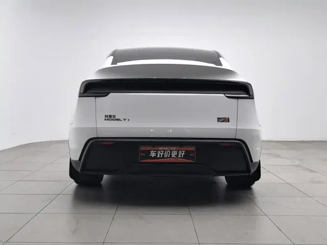 Tesla Model Y — Фото автомобиля 4