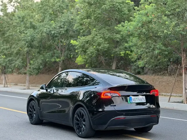 Tesla Model Y — Фото автомобиля 10