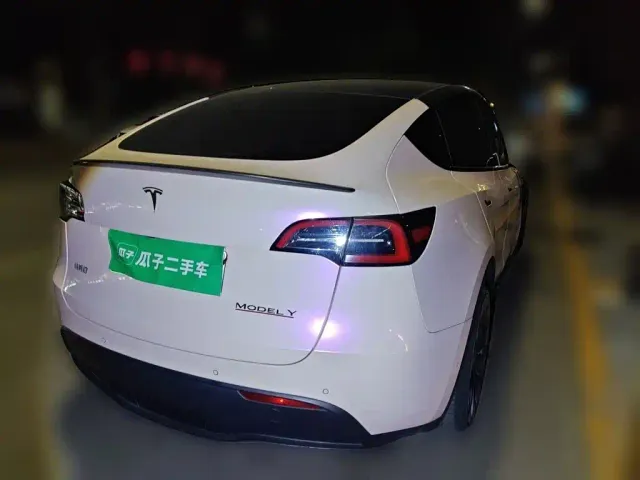 Tesla Model Y — Фото автомобиля 4