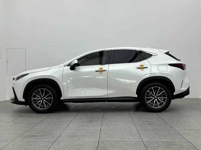 Lexus NX — Фото автомобиля 8