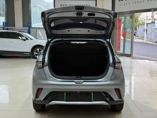 BYD Dolphin — Фото автомобиля 22