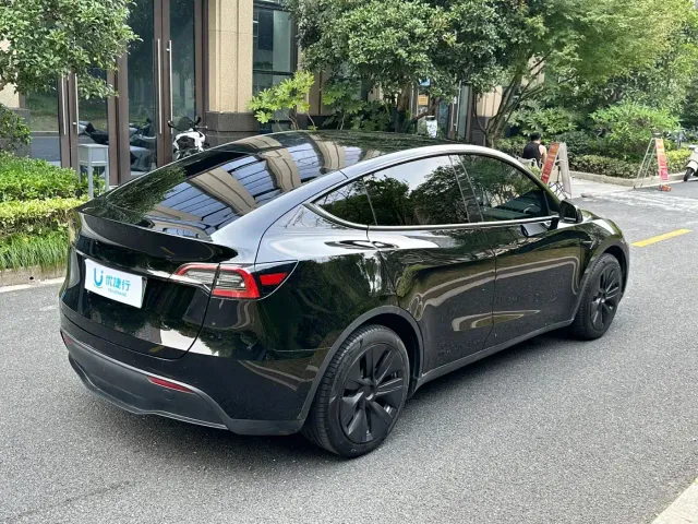Tesla Model Y — Фото автомобиля 4