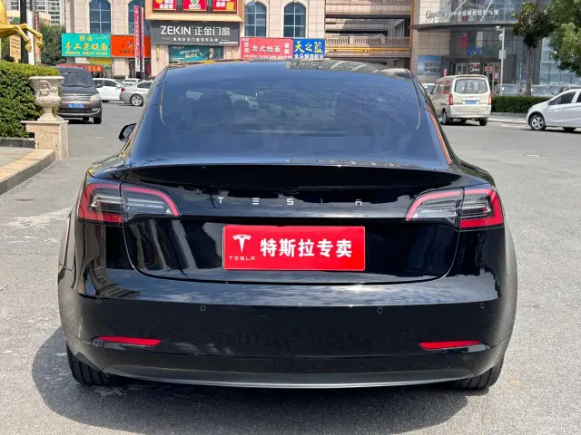 Tesla Model 3 — Фото автомобиля 10