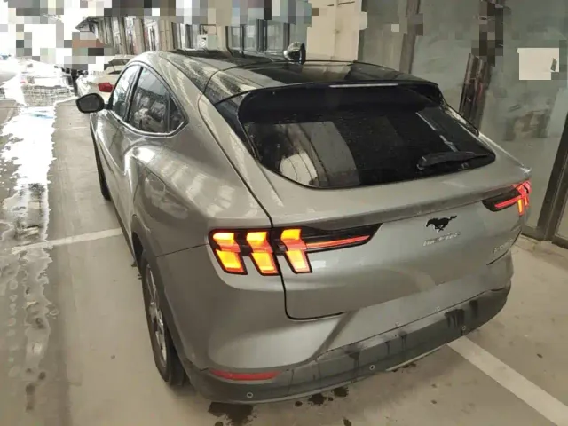 Ford Mustang Mach-E — Фото автомобиля 4