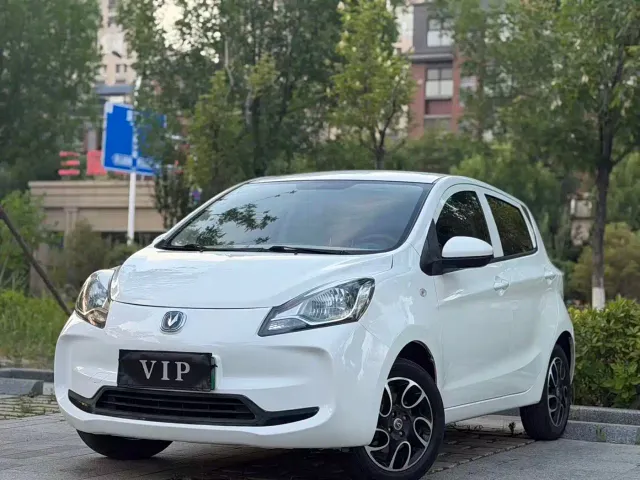 Фотография автомобиля — Changan Benben E-Star