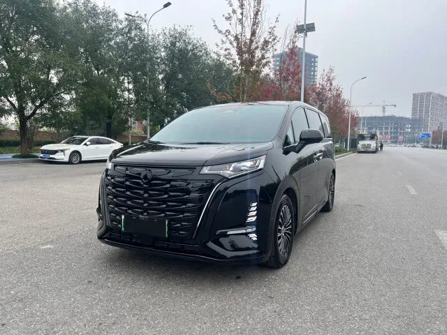 Фотография автомобиля — Denza D9