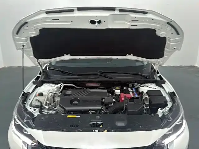 Nissan Sylphy — Фото автомобиля 16