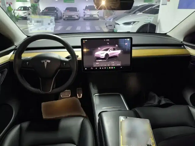 Tesla Model Y — Фото автомобиля 9