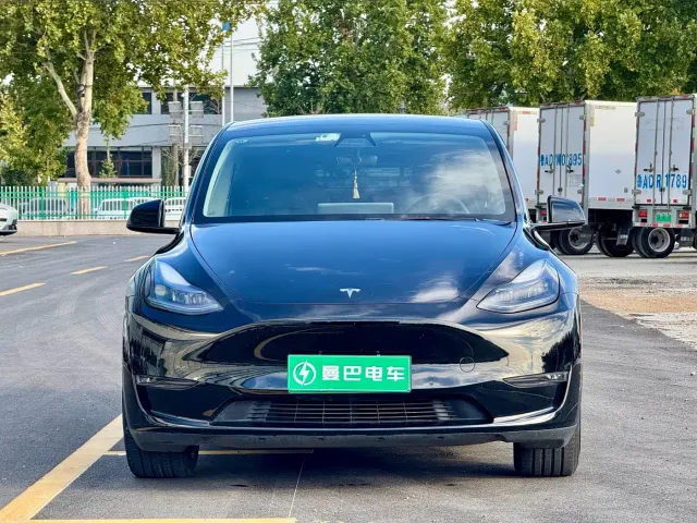 Tesla Model Y — Фото автомобиля 2