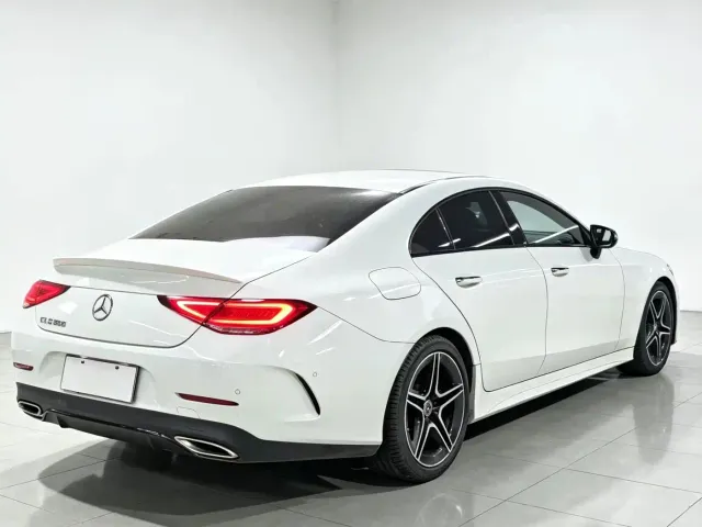 Mercedes-Benz CLS-Class — Фото автомобиля 9