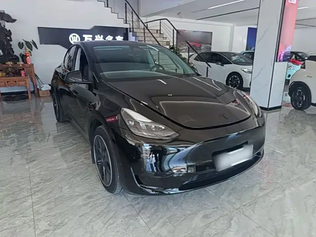 Tesla Model Y — Фото автомобиля 3