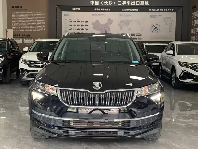 Skoda Karoq — Фото автомобиля 8