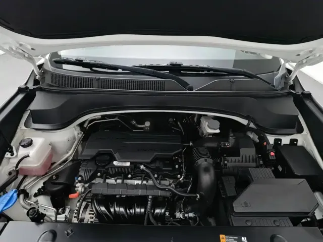 Kia Sportage 2021 Ace 2.0L Brilliant Edition — Фото автомобиля 6