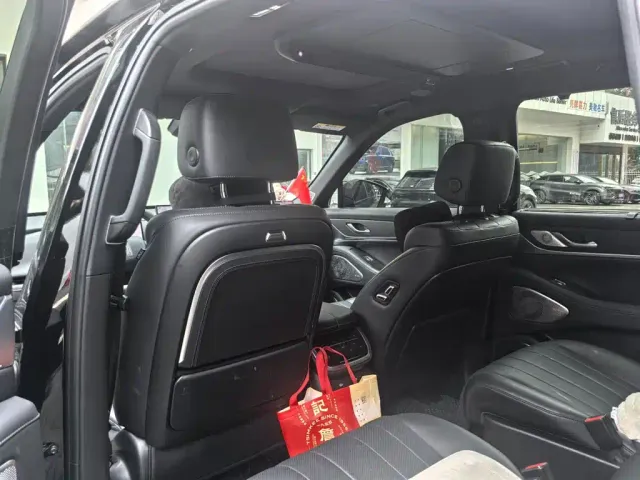 Wey Lanshan — Фото автомобиля 9