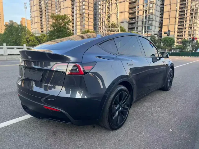 Tesla Model Y — Фото автомобиля 11