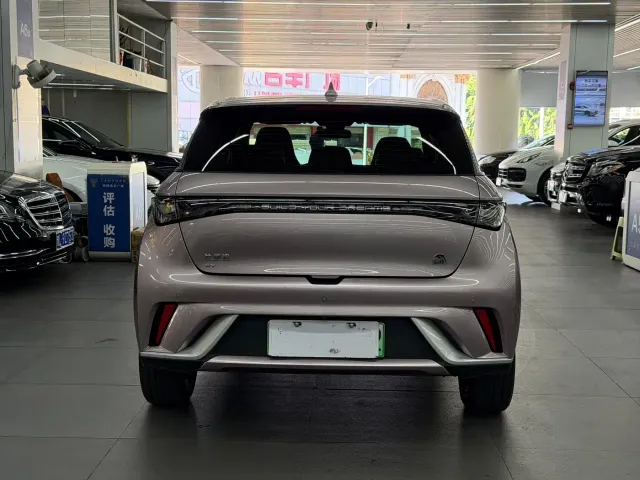 BYD Dolphin — Фото автомобиля 12